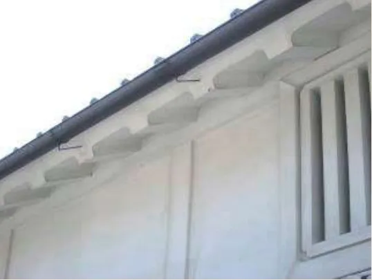 B 大屋根の軒裏（1）