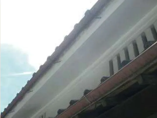 F 大屋根の軒裏（14）板軒