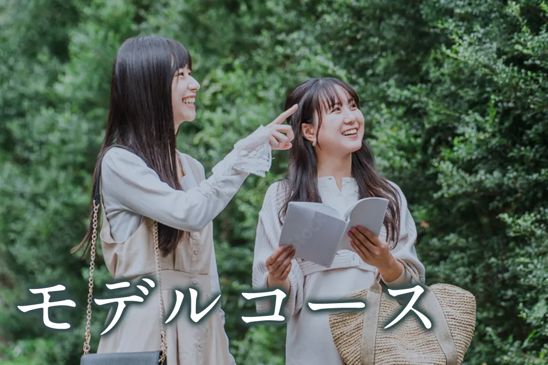 モデルコース