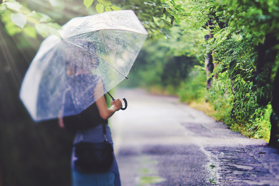 雨の日コース ルート図
