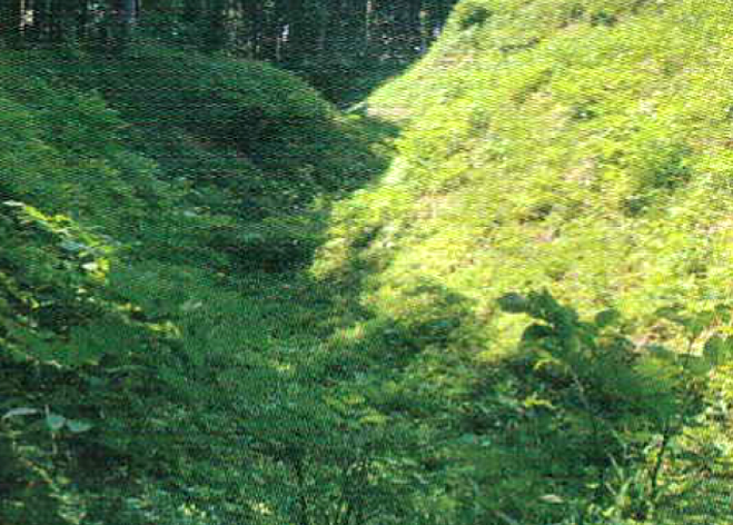 南西虎口部 横堀