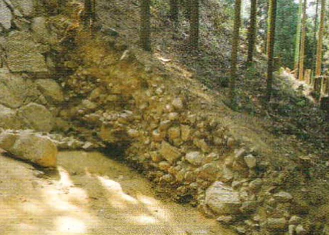 南西虎口部 門跡3